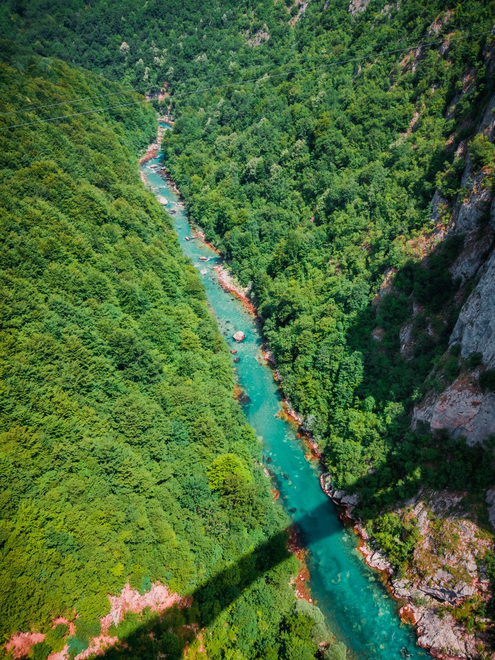 Pogled iz zraka na šumoviti kanjon Tare i rijeku koja vijuga kroz krajolik.